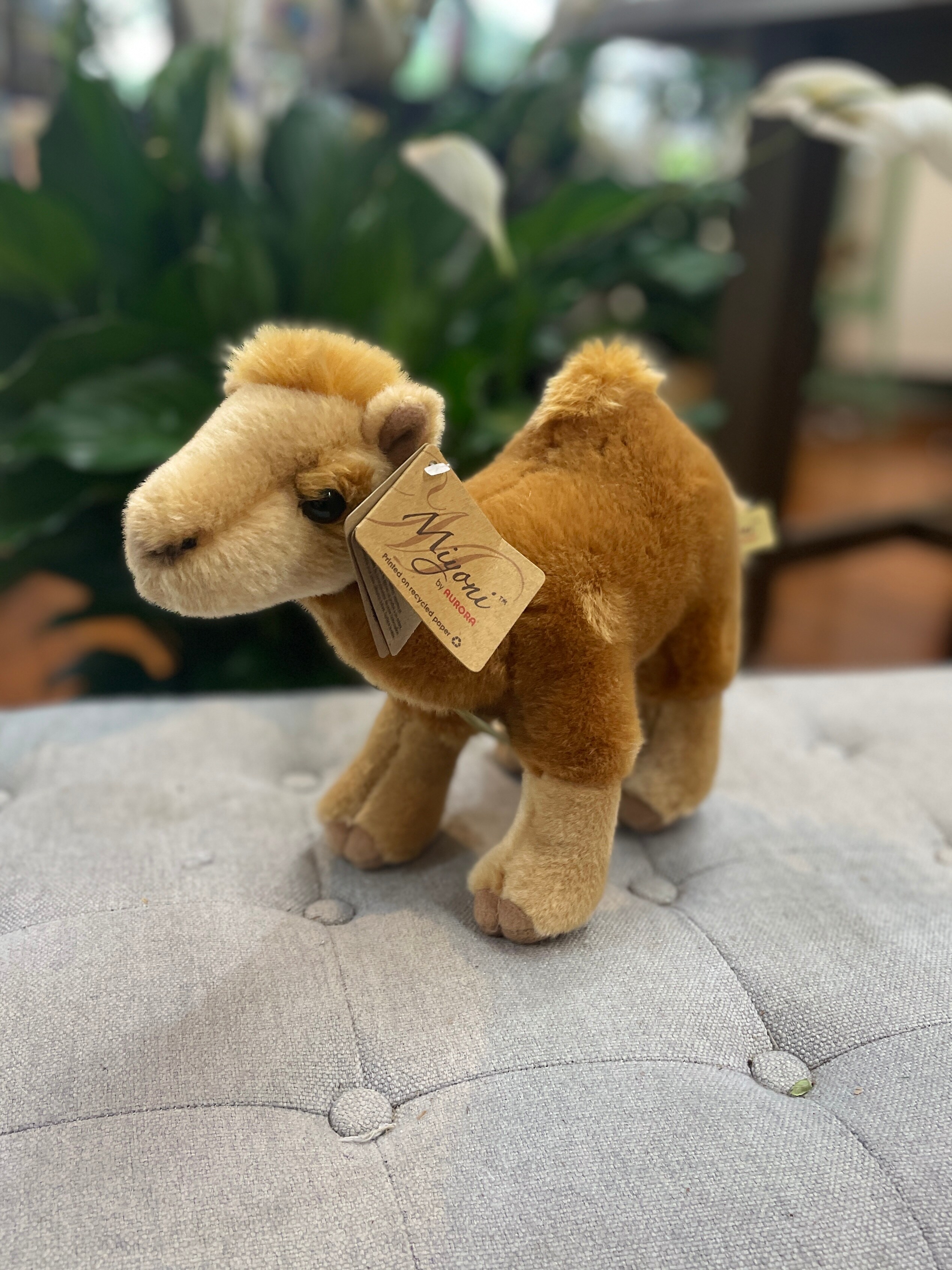 Camel Plush